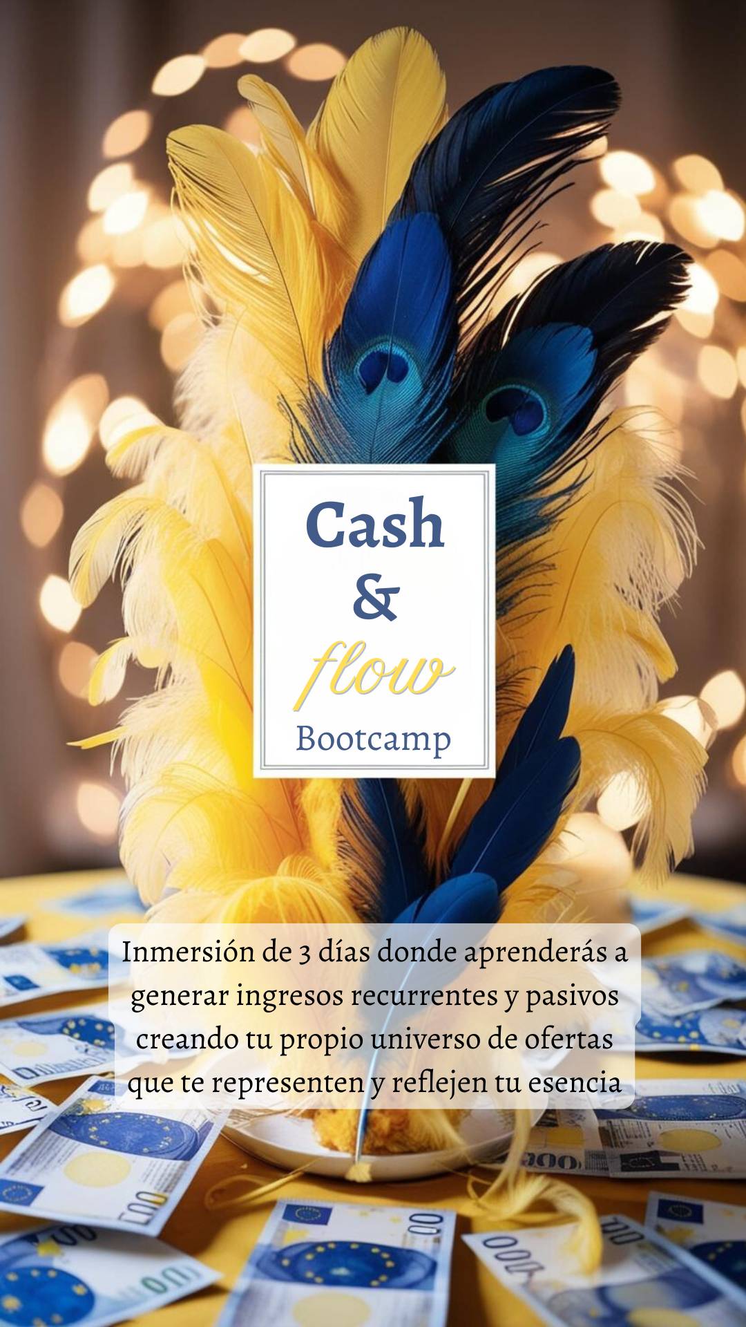 Bootcamp Cash & Flow